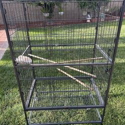 Bird Cage