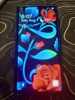 Samsung S22 Ultra 256GB + Case