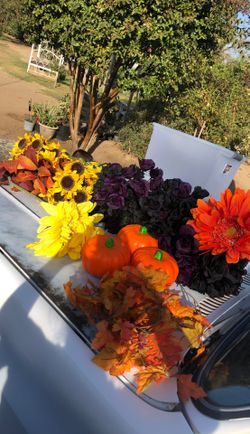Harvest decor