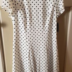 Ladies Size 16 Beautiful Spring Dress New!