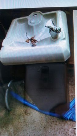 Indoor or outdoor drinking fountain with icebox