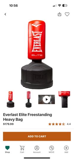 Everlast Punching Bag
