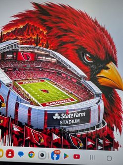 Cardinals vs.Lions