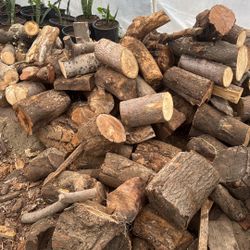 Firewood Logs