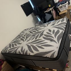 Sealy pillow top mattress