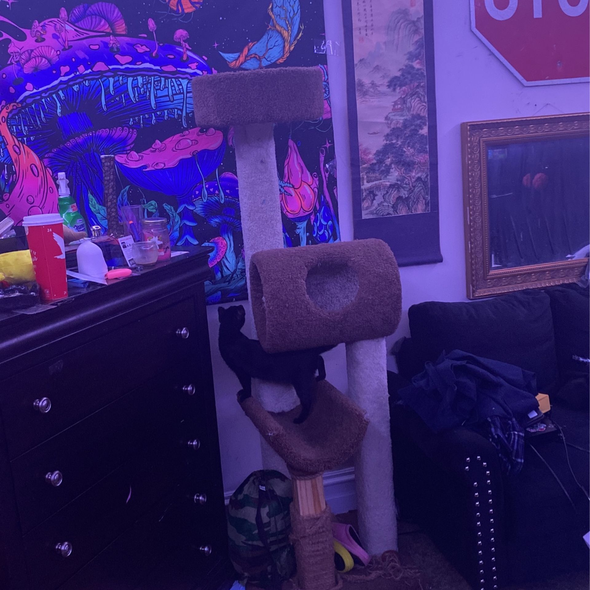 Cat Tower