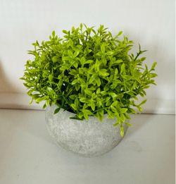Mini Small Artificial Fake Green Plant in Pot Planter - NEW $10