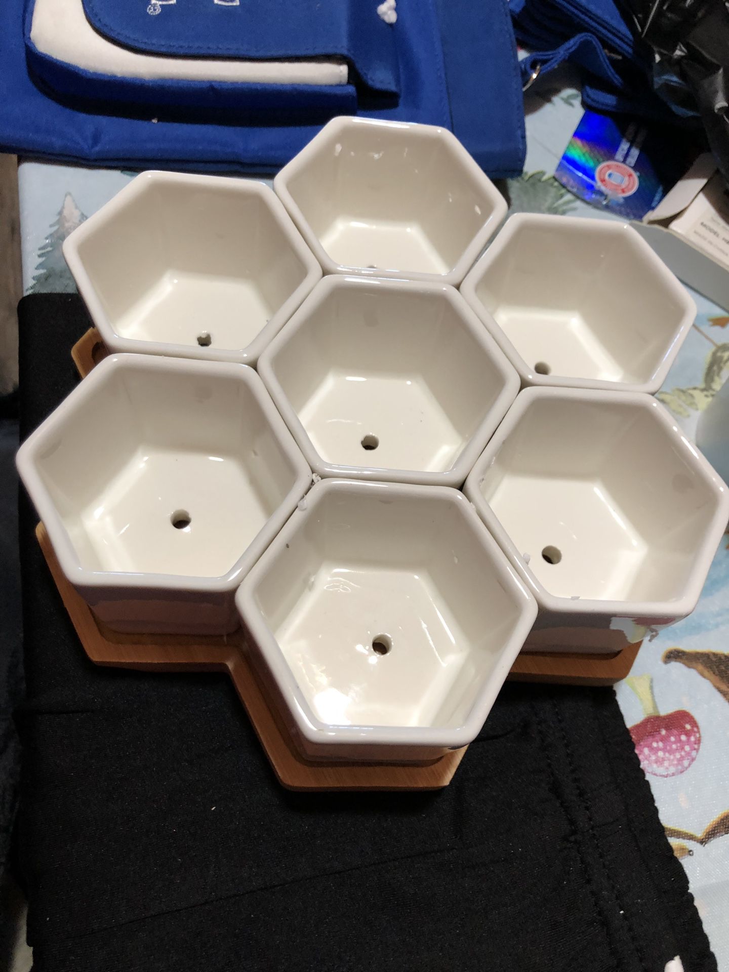 Hexagon succulent plant pots in bamboo tray NEW $20