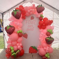 Balloon Arch With Back Drop