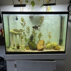 Fish Tank Bundle