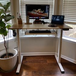 Electrical Standing Desk 