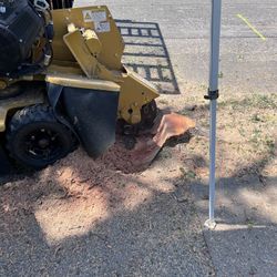 Stump Removal And Grinding