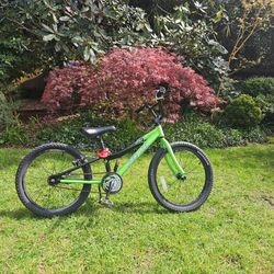 Specialized Hotrock 20 inch bike