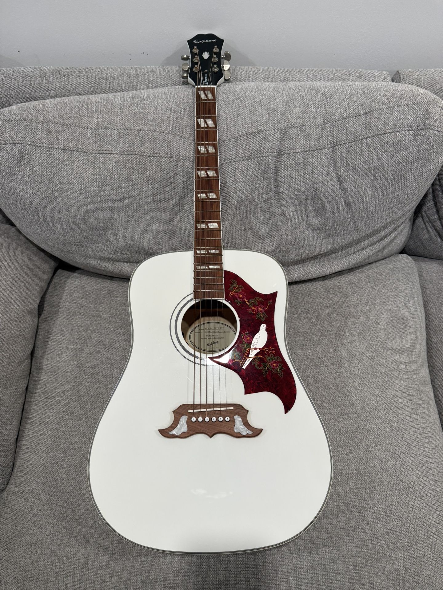 Acoustic Guitar 