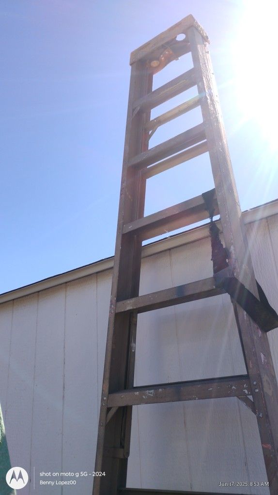 12ft Ladder