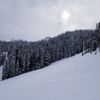 Snowdays