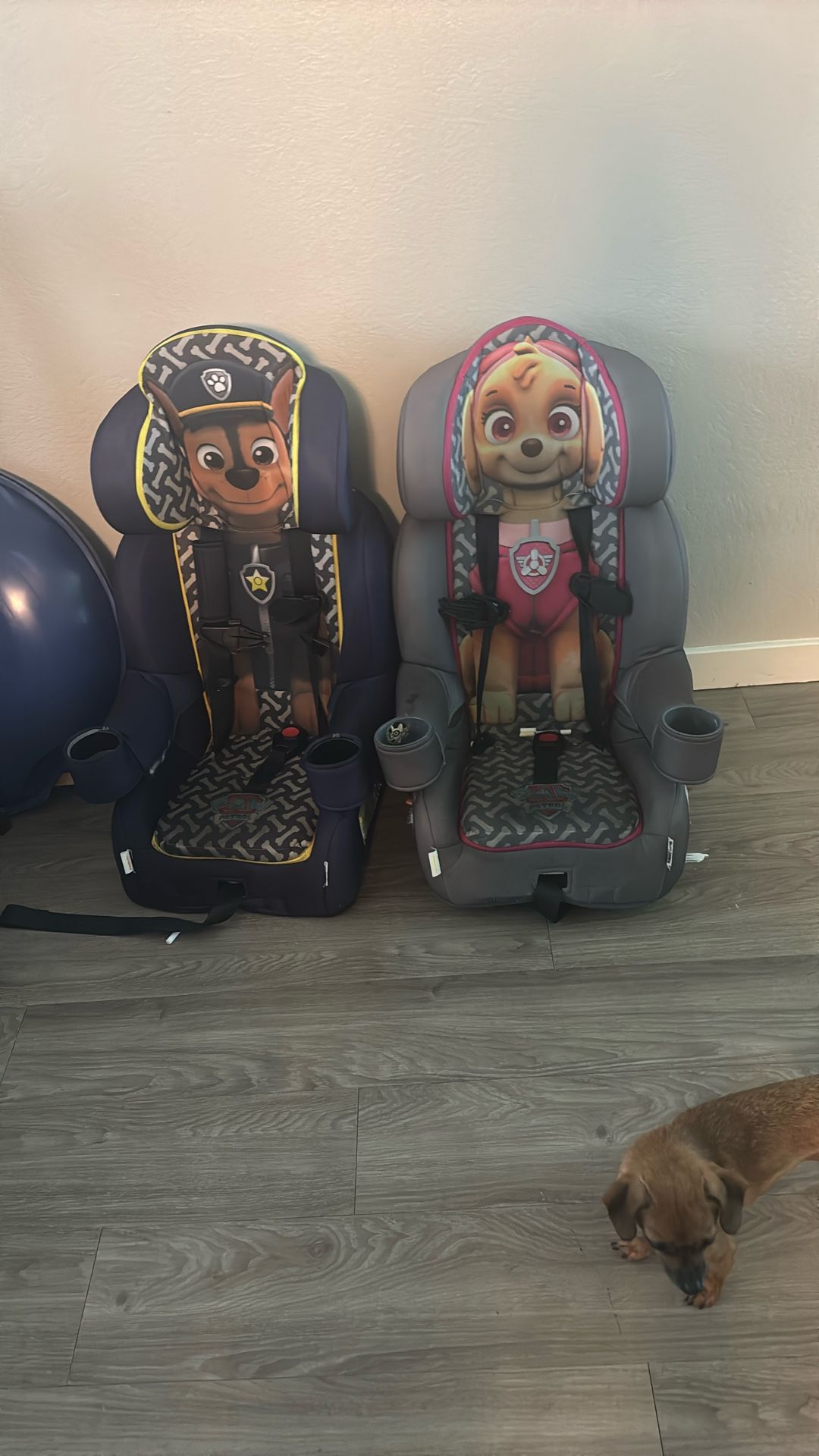 Paw Patrol Car Seat
