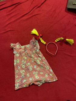 Free 2-3 year dress made in Spain by Zara and costume with purchase