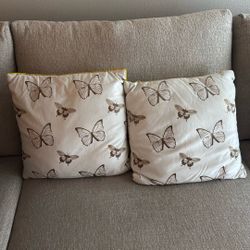 Decorative Pillows 