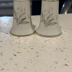 Salt And Pepper Shakers. Fine, China. Pick Up Only. Message For Address. Renton.