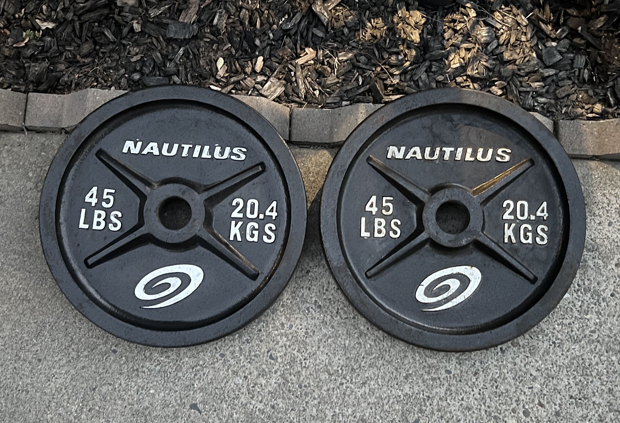 Weight Plates (45lbs x 2)