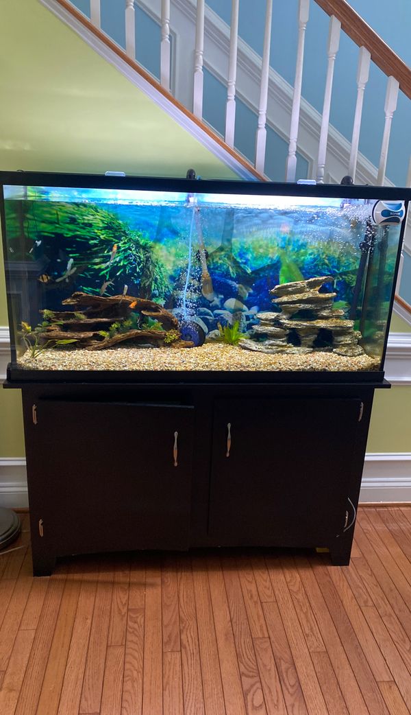 60 Gallon fish tank for Sale in Germantown, MD - OfferUp