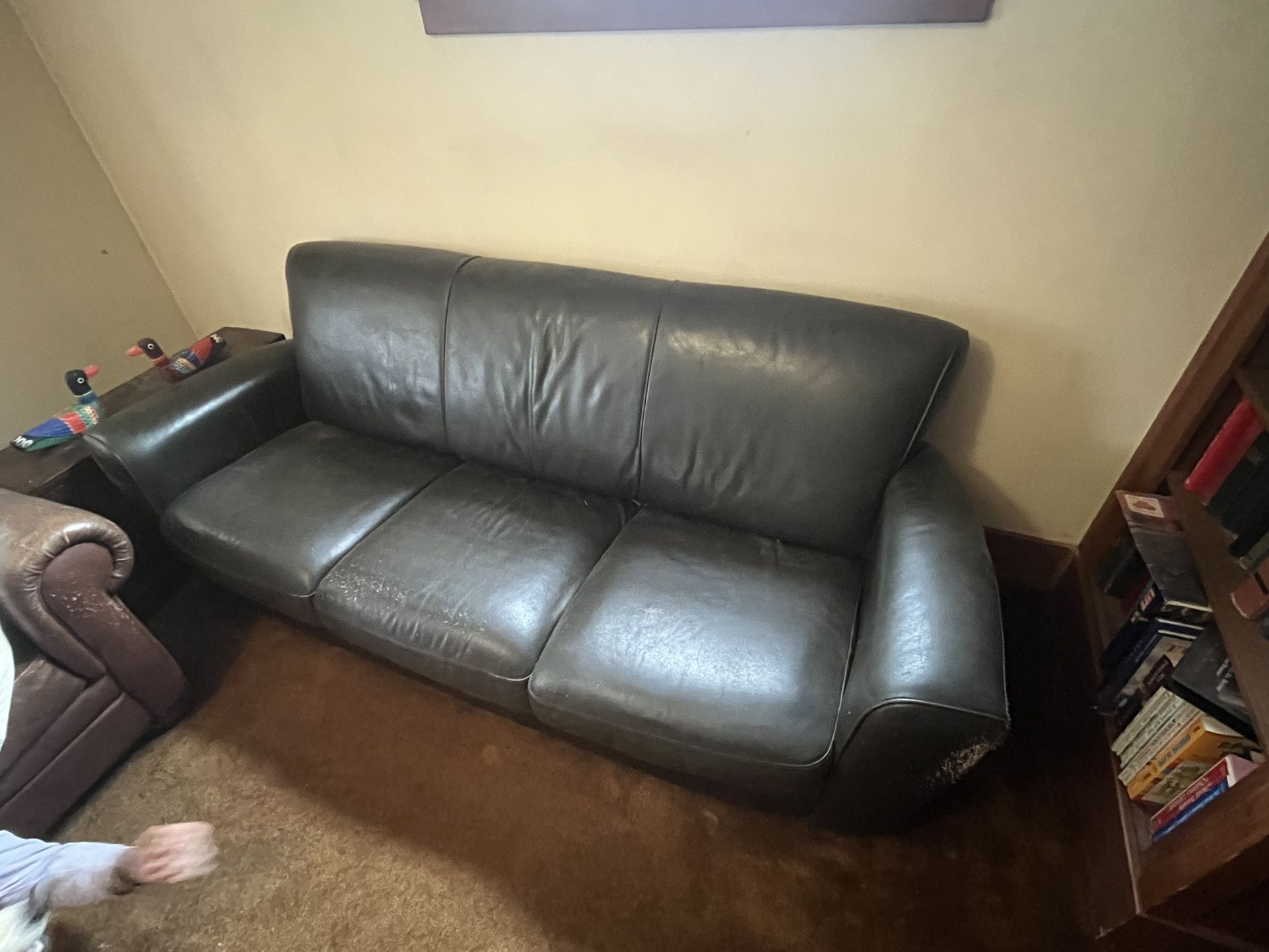FREE couch