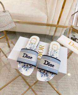 DIOR slides