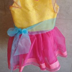 Fancy Nancy Halloween Costume Size (4-6)