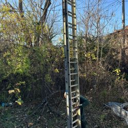 Werner Ladder