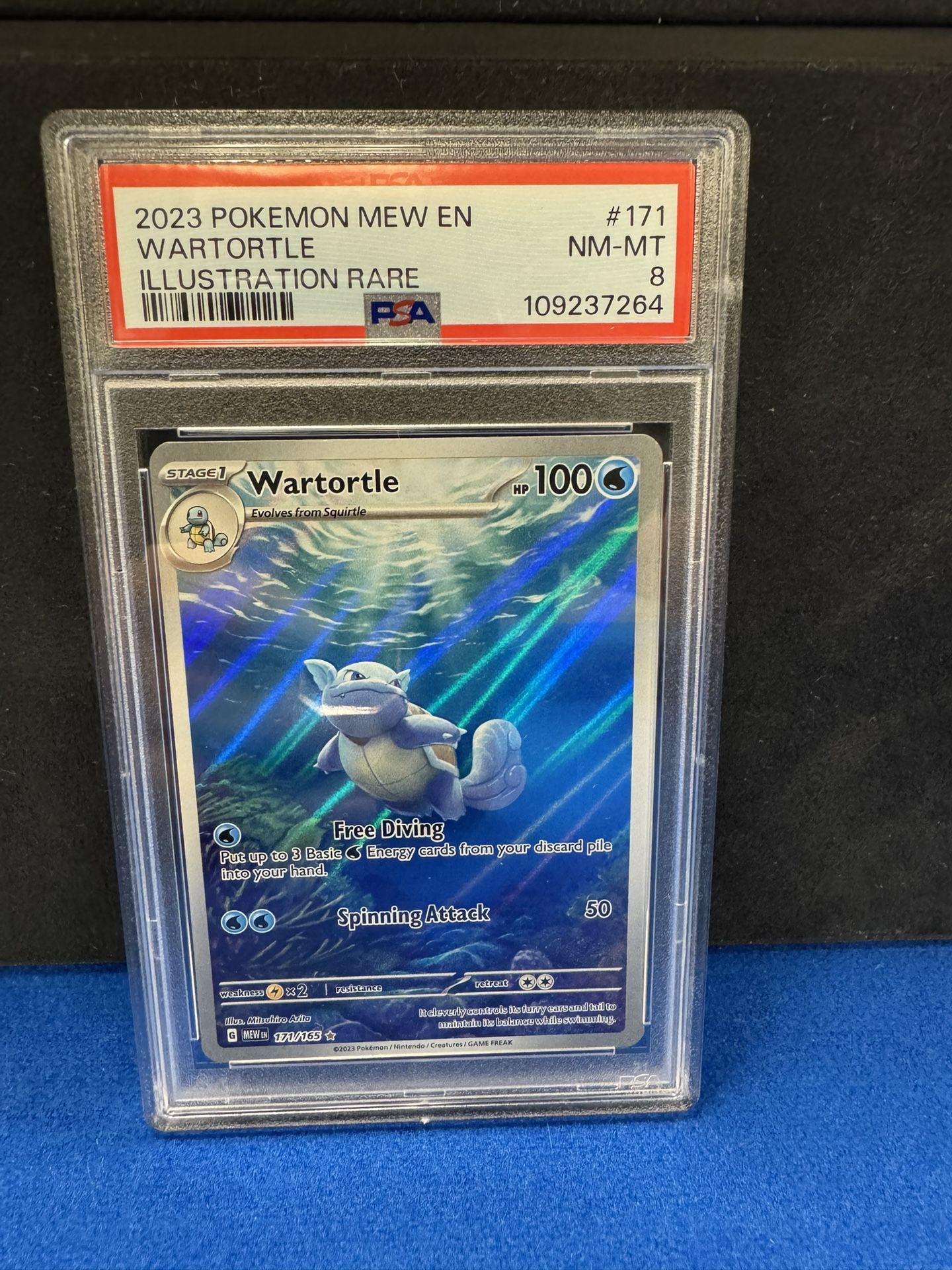 Wartortle Illustration Rare