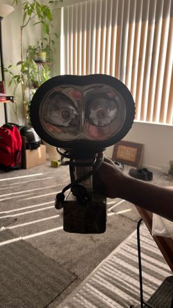 Vector Sport Spotlight