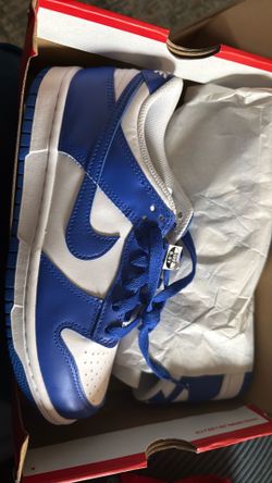 Brand new Nike dunk