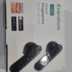 Keypad Fingerprint Smart Ball Lock Evanshow