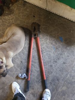 Bolt Cutter