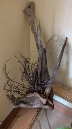 Gorgeous Driftwood anchor look with black coral and sea fan 16" x 32"