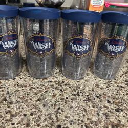 Disney Wish Cruise Tumbler 