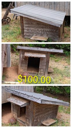 Dog House