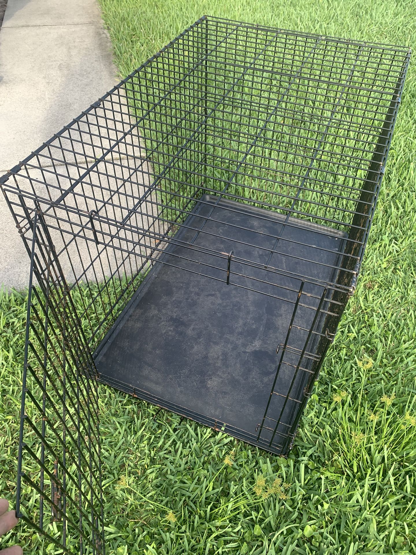 Large Dog House