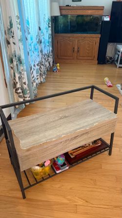 Storage Bench with Lift-Top check more pictures condition