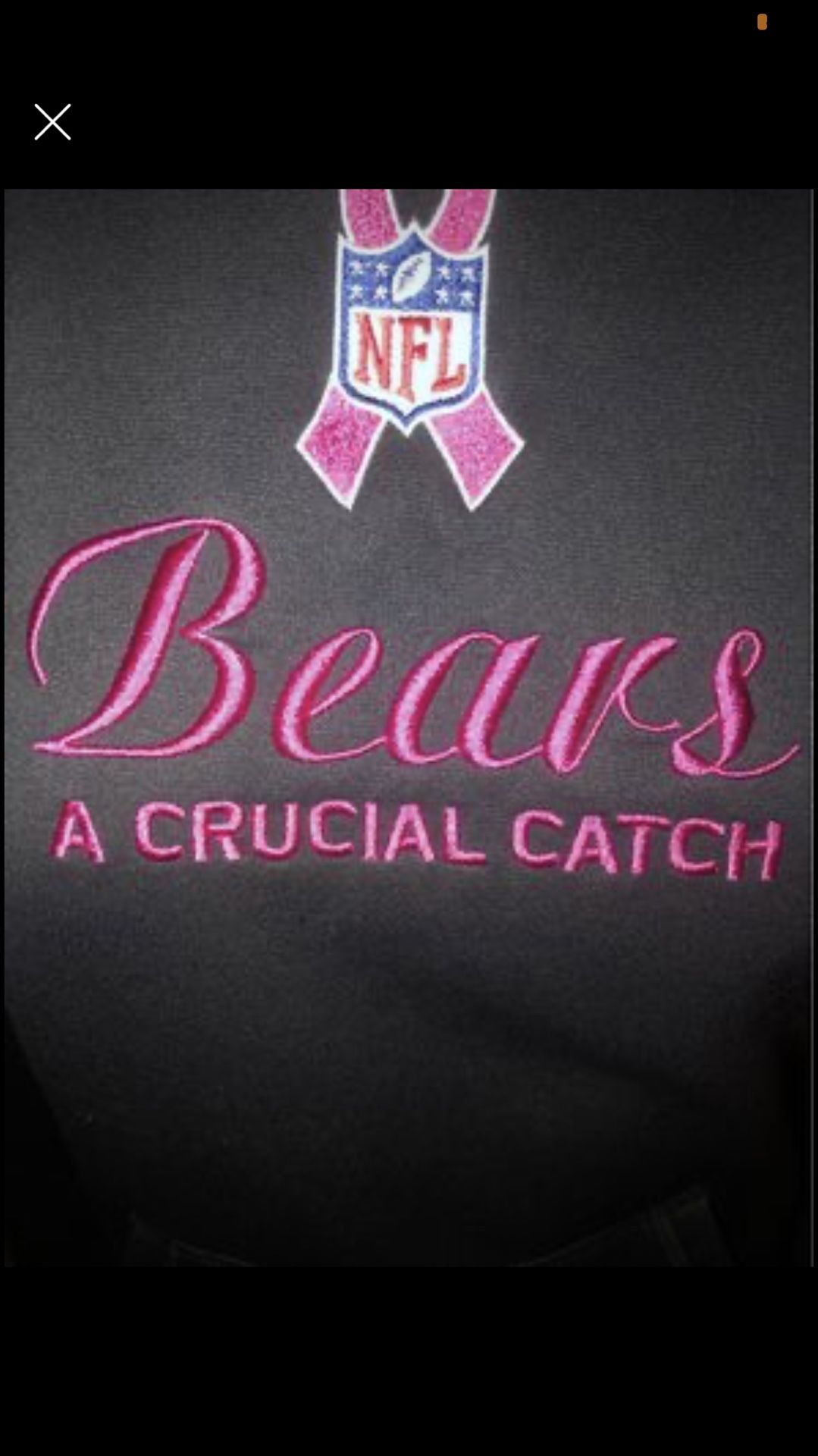 LADIES, CHEER ON THE BEAR’S 🏈In Style Polyester/Thermal Lined Nike “CRUCIAL CATCH” 🌸Pullover Hoodie ! ONLY ONE LEFT! Contact Me For Free Shipping 