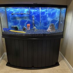 75 gallon Fish Tank And All Stuffs Including 