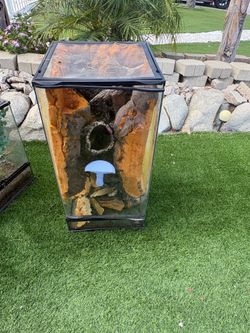 Reptile tank