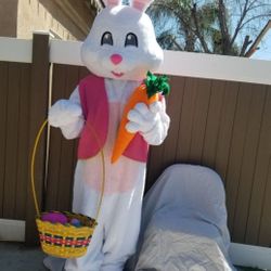 🐰 Easter Bunny Visit 🐰