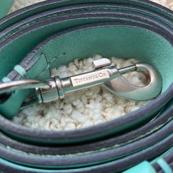 Tiffany Dog Leash