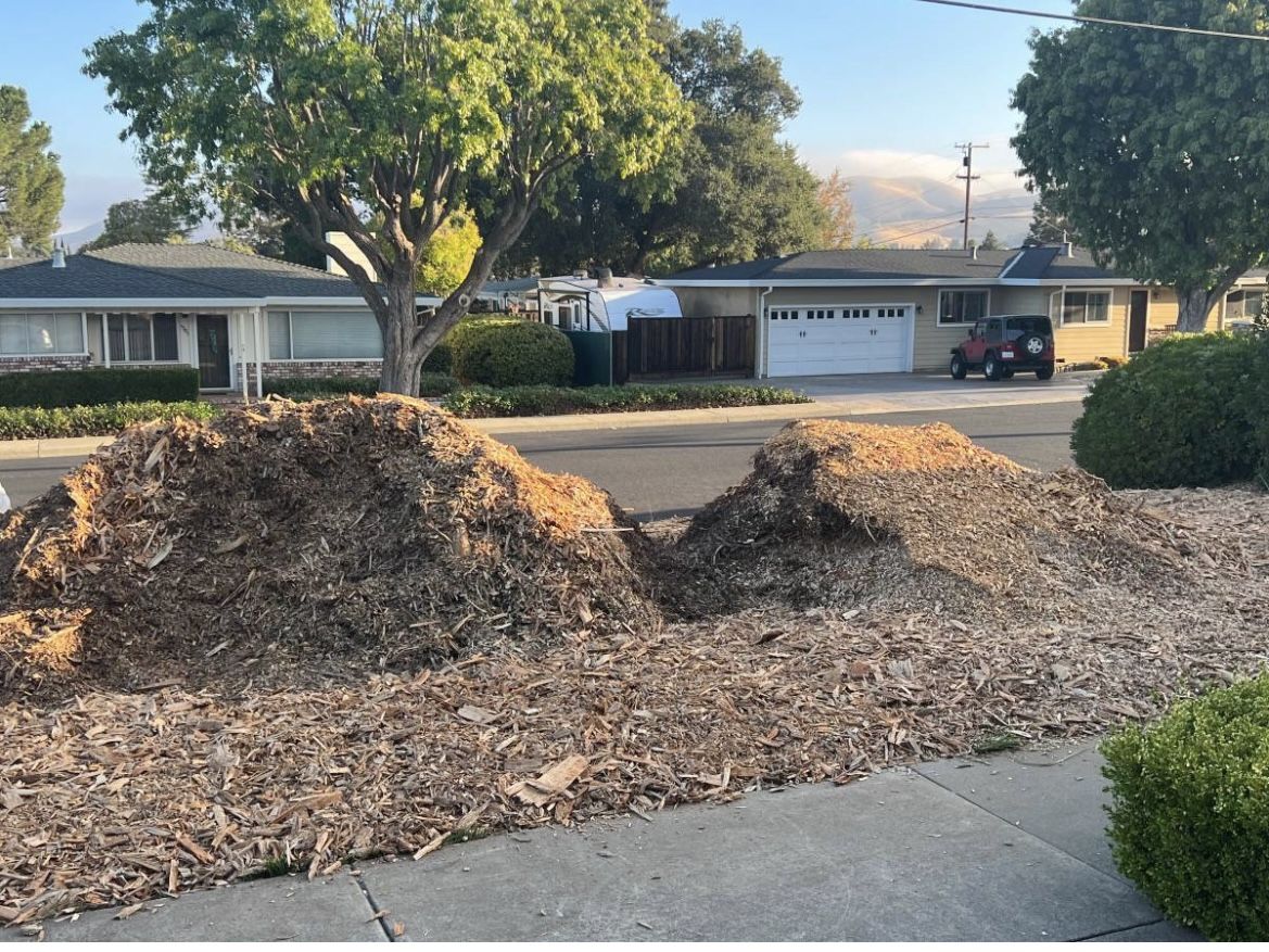 FREE FRESH WOOD CHIPS FOR YOUR YARD