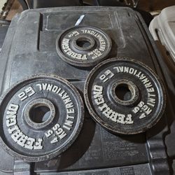 Vintage Ferrigno 25lbs Olympic 2" weights