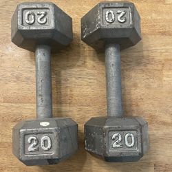 Dumbbells (20 Pound)