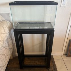 10 Gallon With Stand 