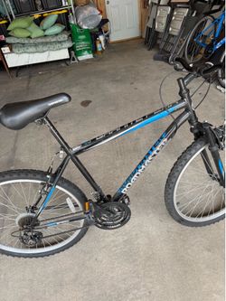 Adult bike